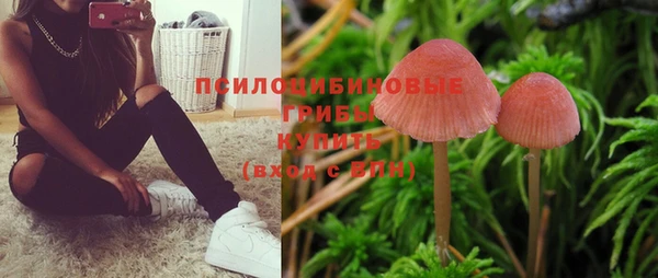 мет Горнозаводск