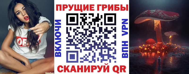 Псилоцибиновые грибы MAGIC MUSHROOMS  Ачинск 